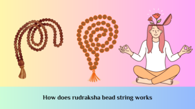 What are rudraksha bead strings What are rudraksha bead strings